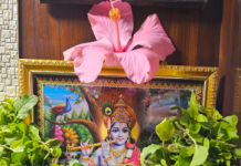 आखिर क्यों भगवान विष्णु चार माह के लिए जाते हैं पाताल लोक?