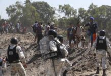 Mexico detains 315 alleged migrant traffickers.